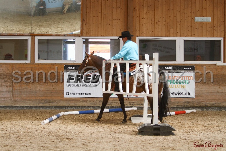 28-ApHC OT_099.jpg